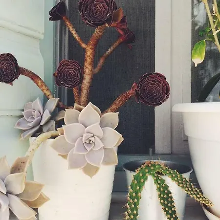 The Oceanographer's Home, A Chora Hideaway Serifos Town