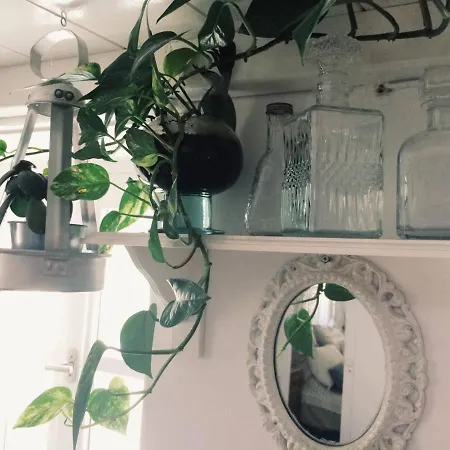 The Oceanographer's Home, A Chora Hideaway 度假居