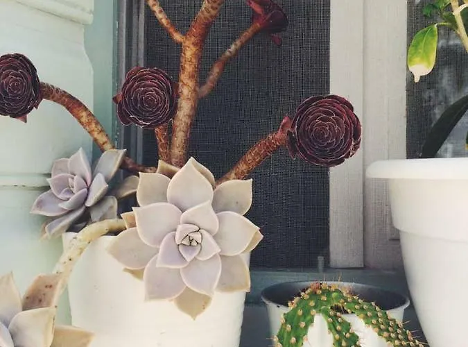 The Oceanographer's Home, A Chora Hideaway Serifos Town